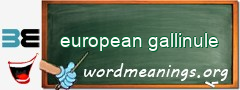WordMeaning blackboard for european gallinule